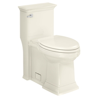 One Piece Toilet Elongated bowl One Piece Toilet Elongated bowl