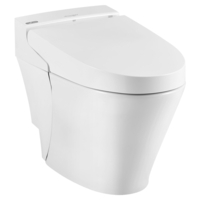 One Piece Toilet Compact Elongated One Piece Toilet Compact Elongated