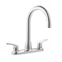Two Handle Kitchen Faucet