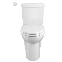 Two Piece Toilet Elongated bowl