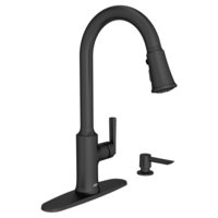 Pull-Out Spray Kitchen Faucet