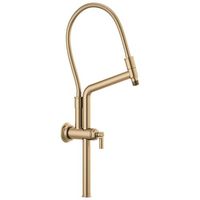 Shower Arm Shower Arm
