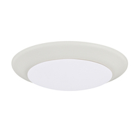 Flush Mount Ceiling Light 10" Width Flush Mount Ceiling Light 10" Width