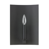 1 Bulb Wall Sconce