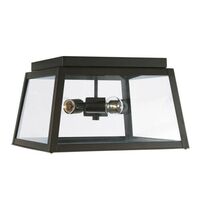 Ceiling Mounted Light 14-1/2" Width Ceiling Mounted Light 14-1/2" Width