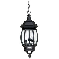 Hanging Lantern Hanging Lantern