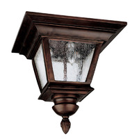 Ceiling Mounted Light 11-1/2" Width Ceiling Mounted Light 11-1/2" Width
