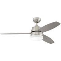 Large Ceiling Fan