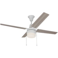 Medium Ceiling Fan