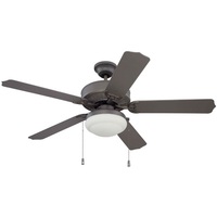 Large Ceiling Fan