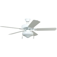 Large Ceiling Fan