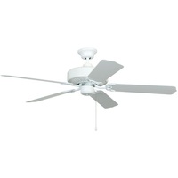 Large Ceiling Fan