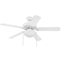 Large Ceiling Fan