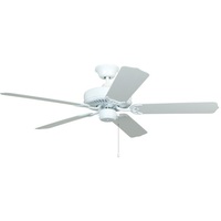 Large Ceiling Fan