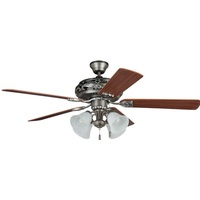 Large Ceiling Fan