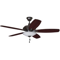 Large Ceiling Fan