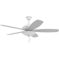 Large Ceiling Fan