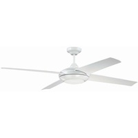 Oversize Ceiling Fan