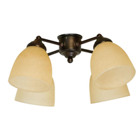 Ceiling Fan Light Kits 4