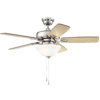 Large Ceiling Fan