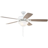 Large Ceiling Fan