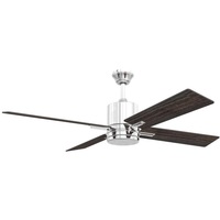 Large Ceiling Fan