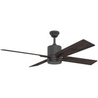 Large Ceiling Fan