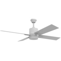 Large Ceiling Fan