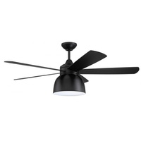 Large Ceiling Fan