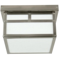 Ceiling Mounted Light 9-1/2" Width