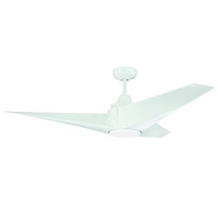 Large Ceiling Fan