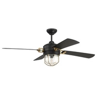 Large Ceiling Fan