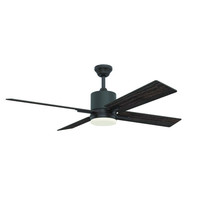 Large Ceiling Fan