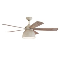 Large Ceiling Fan