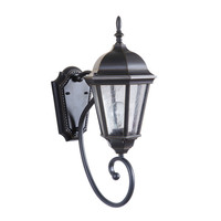 Outdoor Wall Light 17-5/8" Height