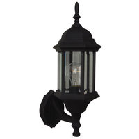 Outdoor Wall Light 17-3/4" Height