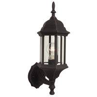 Outdoor Wall Light 17-3/4" Height