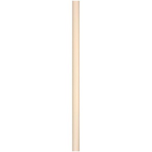CDR12BN Downrod Downrod Light Kits & Accessories - Brushed Nickel CDR12BN Downrod Downrod Light Kits & Accessories - Brushed Nickel