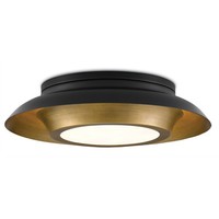 Flush Mount Ceiling Light