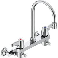 Commercial Wallmount 2 Hole