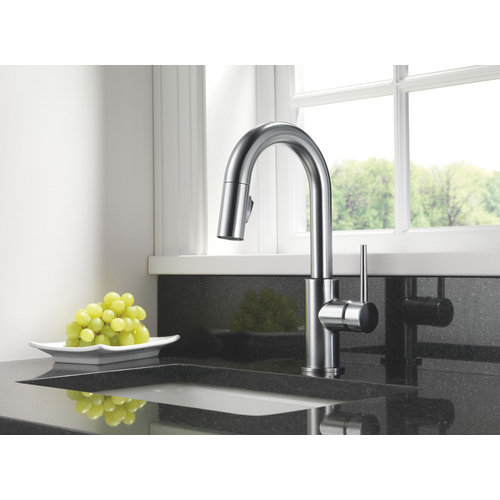 Delta Trinsic Kitchen Faucet Dandk Organizer