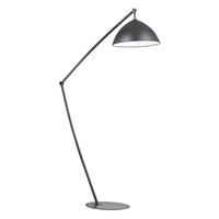 Floor Lamp Floor Lamp