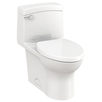 One Piece Toilet Elongated bowl One Piece Toilet Elongated bowl