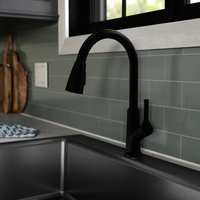 Pull-Out Spray Kitchen Faucet
