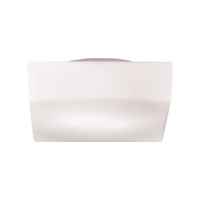 Flush Mount Ceiling Light 7-3/4" Width Flush Mount Ceiling Light 7-3/4" Width