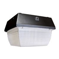 Ceiling Mounted Light 12-1/2" Width Ceiling Mounted Light 12-1/2" Width