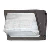 Outdoor Wall Light 9-2/5" Height Outdoor Wall Light 9-2/5" Height
