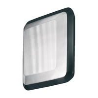 Wall Sconce (Multi Bulb) Wall Sconce (Multi Bulb)