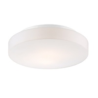 Flush Mount Ceiling Light 13-1/4" Width