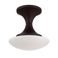 Flush Mount Ceiling Light 10" Width